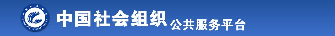 操逼高潮全国社会组织信息查询